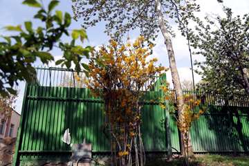 بهار در قاب دانشگاه علوم بهزیستی و توانبخشی